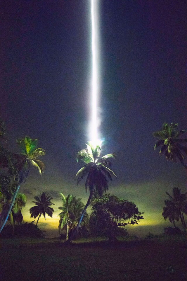 Julius von Bismarck, Talking to Tunder (Palm Tree), 2017. Courtesy the artist; Alexander Levy, Berlin, Sies + Höke, Düsseldorf © Julius von Bismarck, VG Bild-Kunst 2025