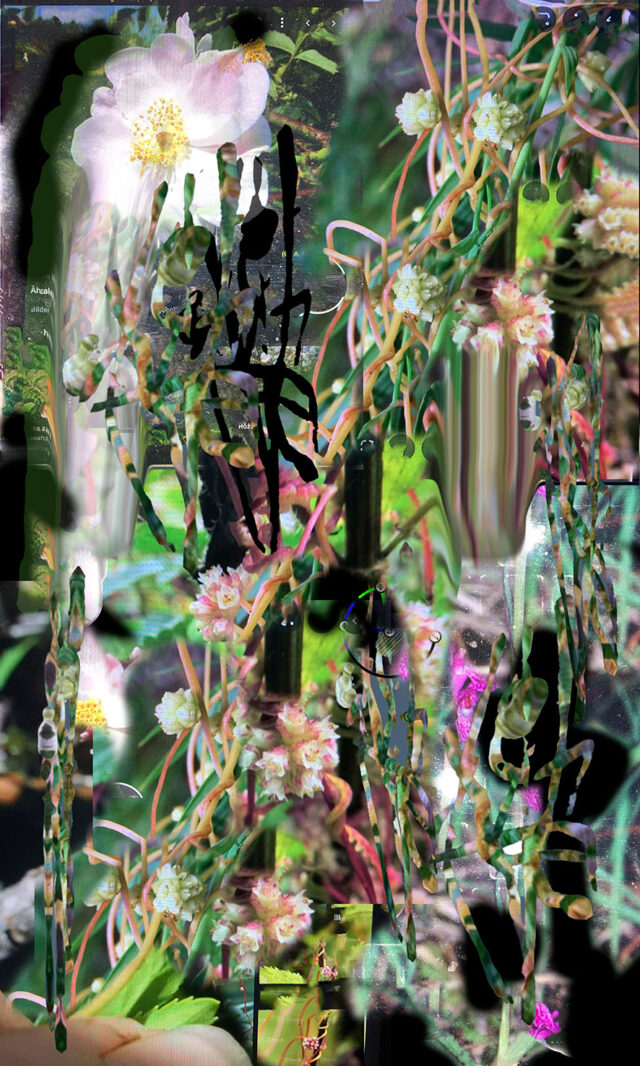 Michaela Putz, Extraction Ballads, 2022. © Michaela Putz, Bildrecht, 2025.