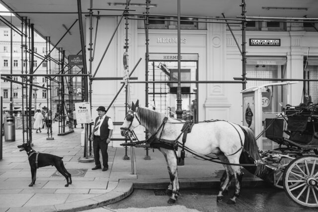 Manolo Ponte, untitled, 2022, aus der Serie "Zwischenräume", © Manuel Gruber