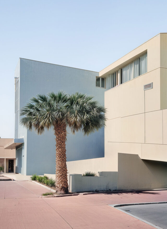 Markus Oberndorfer, Staged-Palm-Tree-III, 2024. © Markus Oberndorfer, Bildrecht 2025